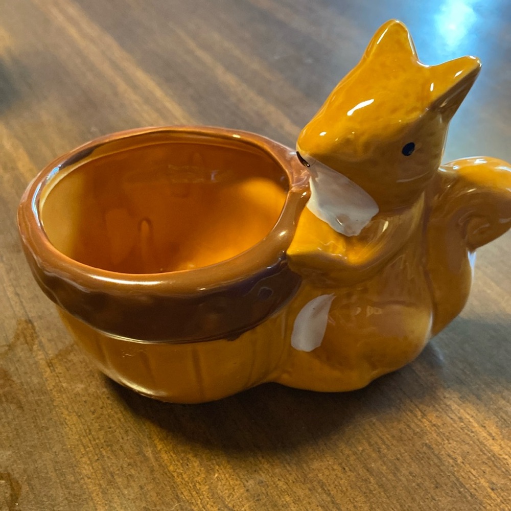 CUTE SQUIRREL MINI PLANTER